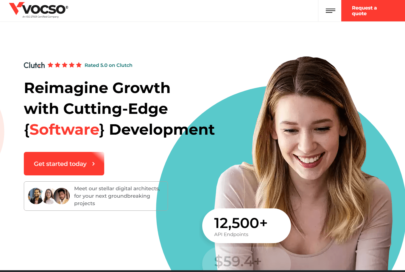 Website Design Agency - Web Development Company India & USA.png